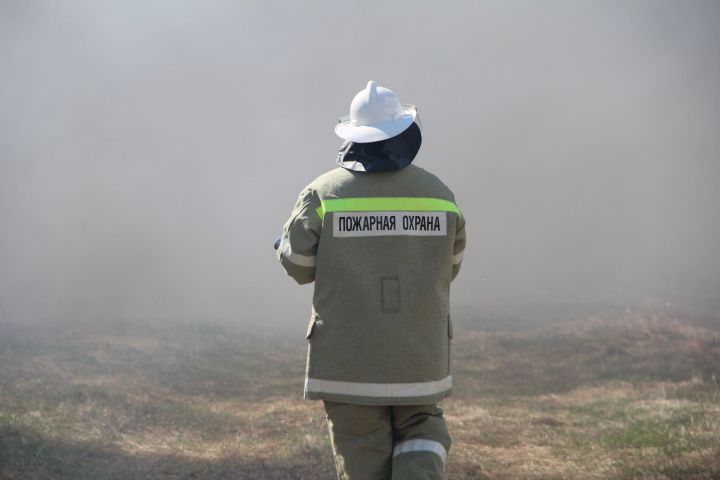 В Спасском районе произошло несколько случаев возгорания сухой травы