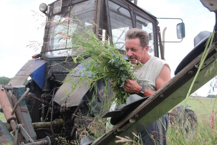 В хозяйствах Спасского района продолжается заготовка кормов (ФОТО)