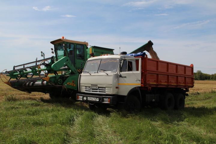 Хлеборобы Спасского района продолжают уборку урожая (ФОТО)