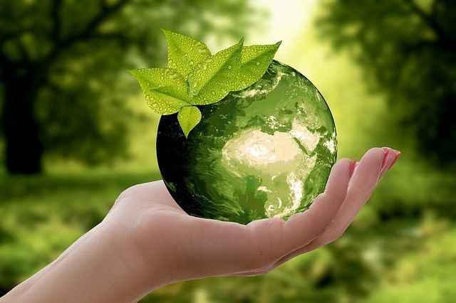 С 7 по 28 сентября 2019 года пройдет Всероссийский экологический субботник «Зелёная Россия»