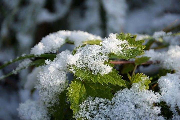 В Татарстане выпадет первый снег