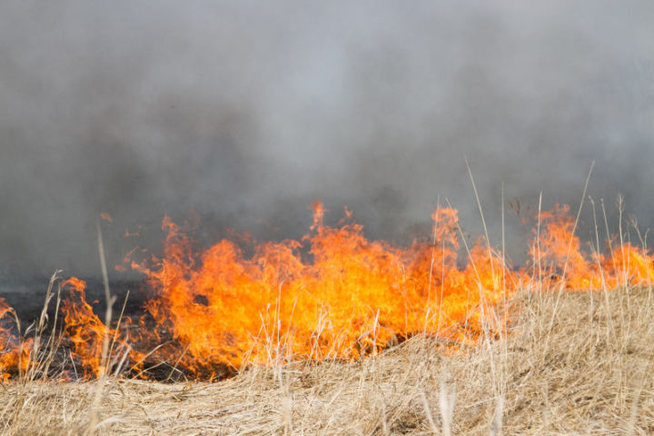 В Спасском районе горела трава на волжских островах