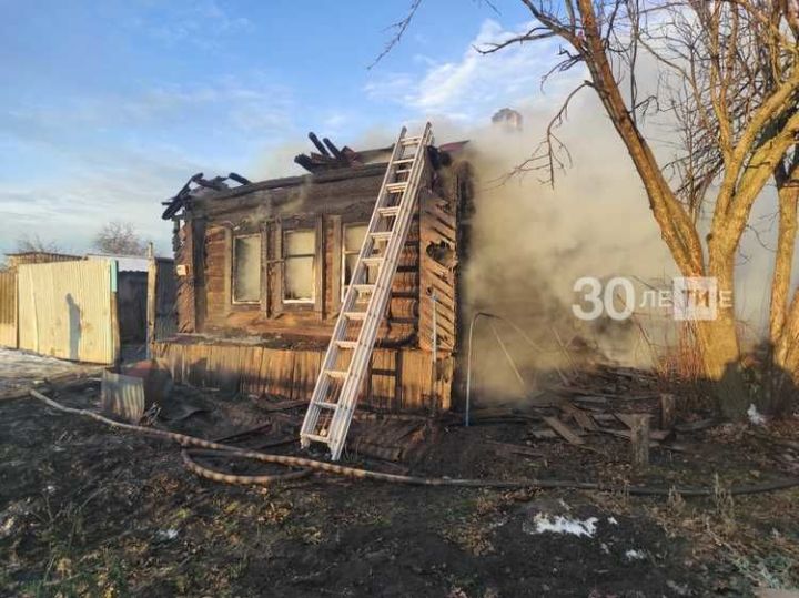 Подросток в Алексеевском районе спас от огня троих детей
