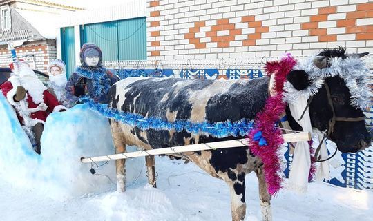 Татарстанские дизайнеры поделились бюджетными решениями новогоднего убранства