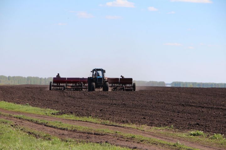 Аграрии Спасского района могут получить субсидии Минсельхозпрода РТ на приобретение минеральных удобрений