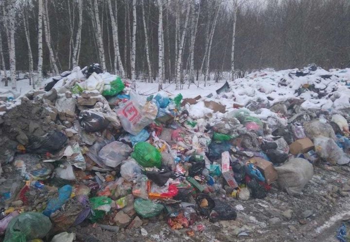 В городе Болгаре зафиксирована крупная несанкционированная свалка