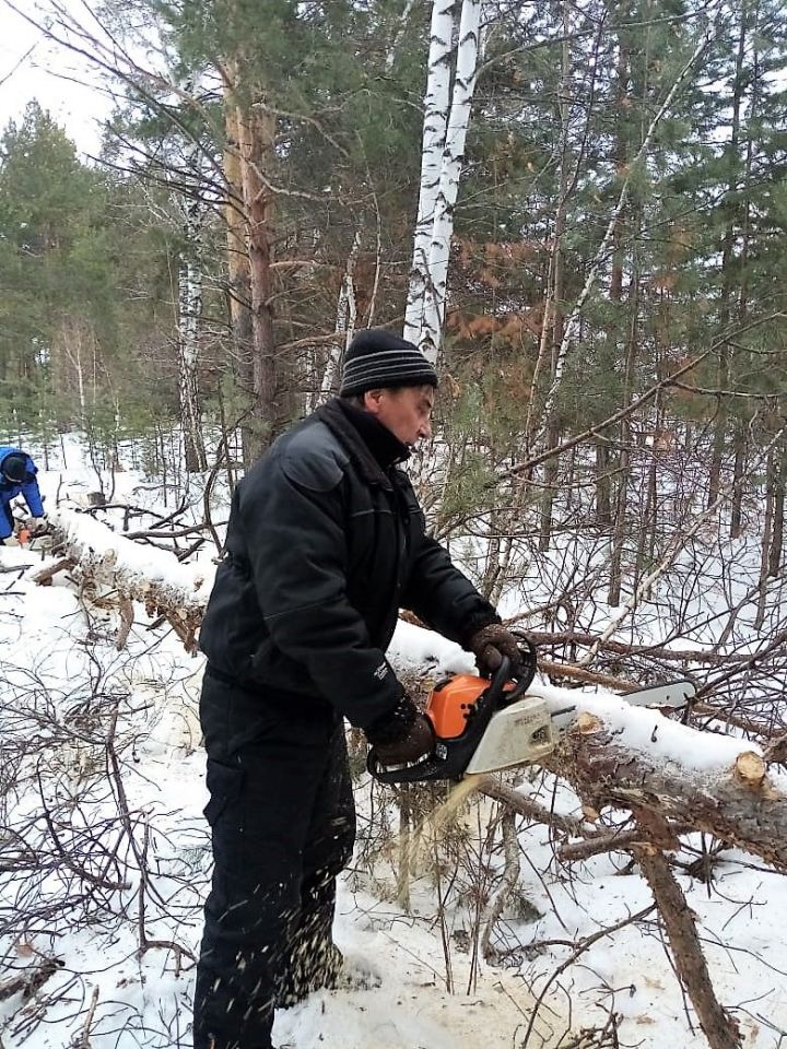 Специалисты Болгарского лесхоза провели работы по очистке леса