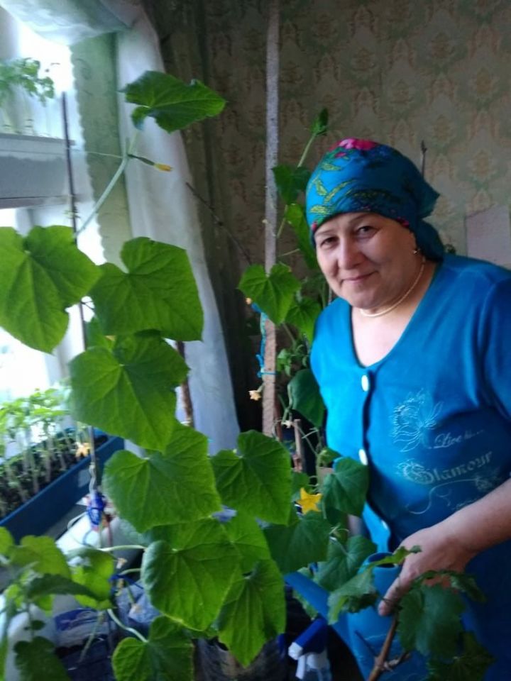 Для жительницы Спасского района Хатири Габделганеевой огородные хлопоты – это отдых и занятие для души