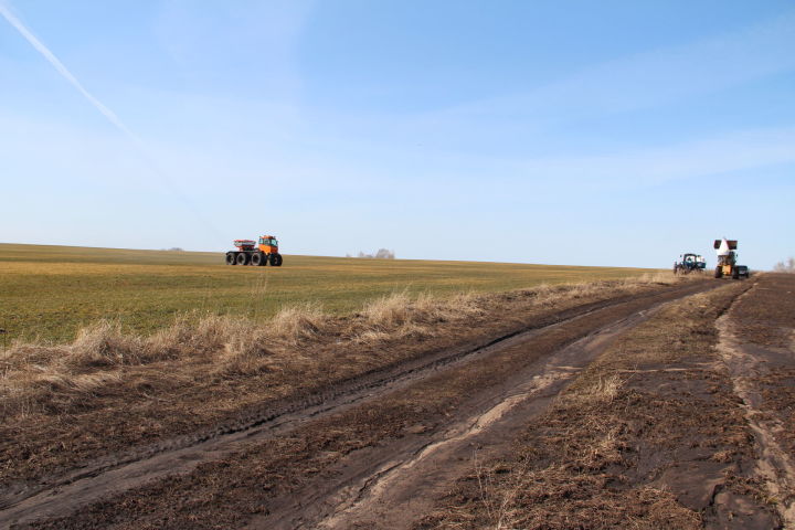 В сельхозформированиях Спасского района активно ведутся полевые работы