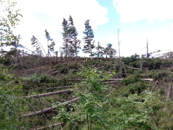 Разгул стихии: какие разрушения принес шторм в Татарстан (ФОТО)