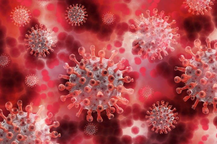 В Татарстане зарегистрирован шестнадцатый случай смерти от коронавируса