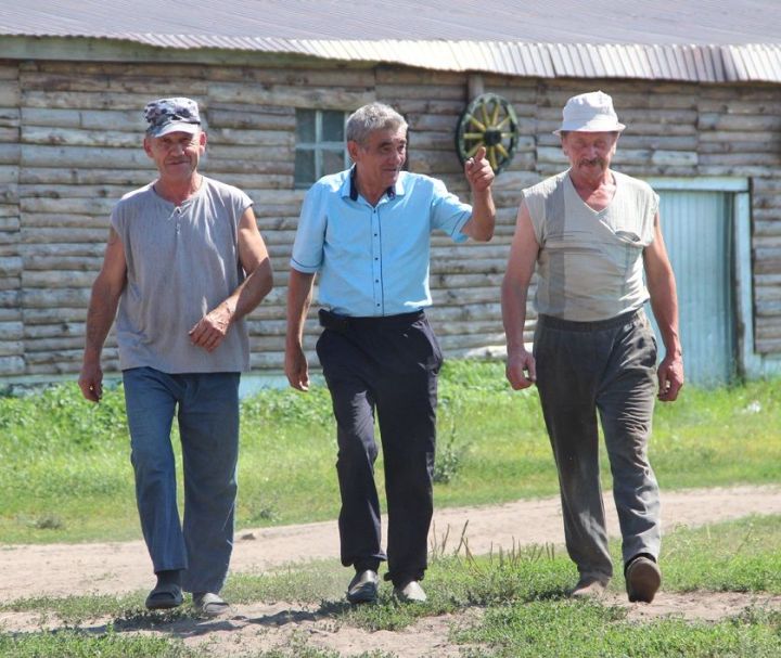 Фермер Сергей Юрков:  «На жаре в тракторе – это вам не в офисе сидеть»