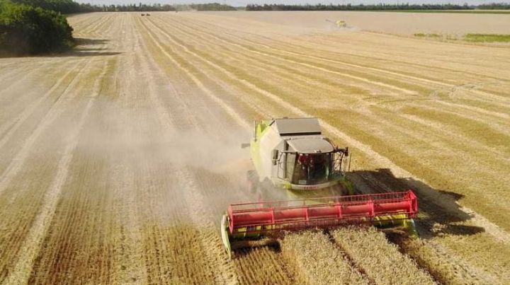 Татарстанскими земледельцами обмолочен второй миллион тонн урожая