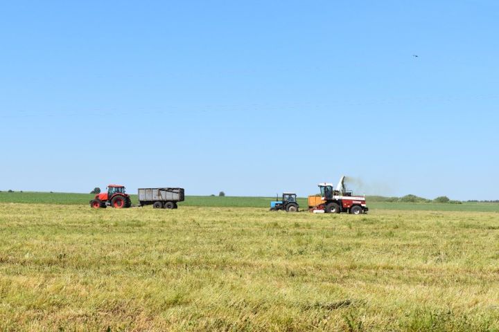В Спасском районе продолжается укос многолетних трав