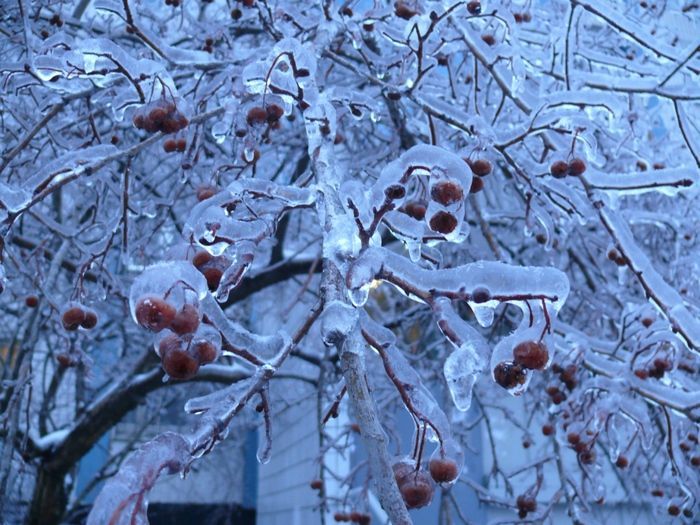 Жителей Татарстана предупредили о ледяном дожде со снегом