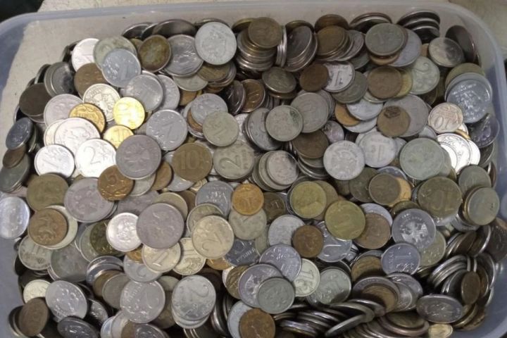 Несколько тысяч рублей мелочью: ребёнок передал в приют накопленные им деньги