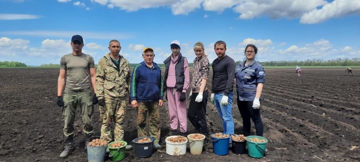 Активисты Молодёжного парламента Спасского района в поле