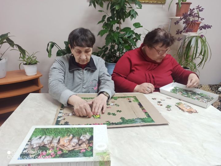 В Спасском доме-интернате для престарелых и инвалидов собрали картину из пазл