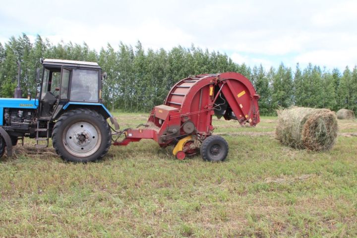 Хозяйства Спасского района РТ завершили первый укос многолетних трав на сено и сенаж