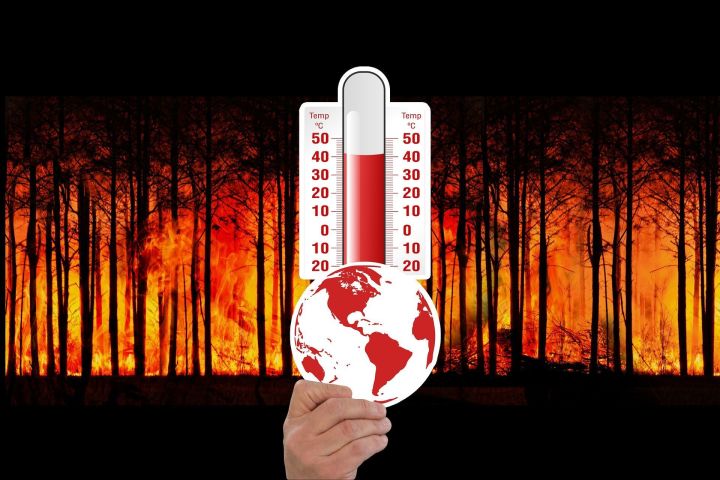 В Татарстане объявлено штормовое предупреждение о высокой пожарной опасности лесов