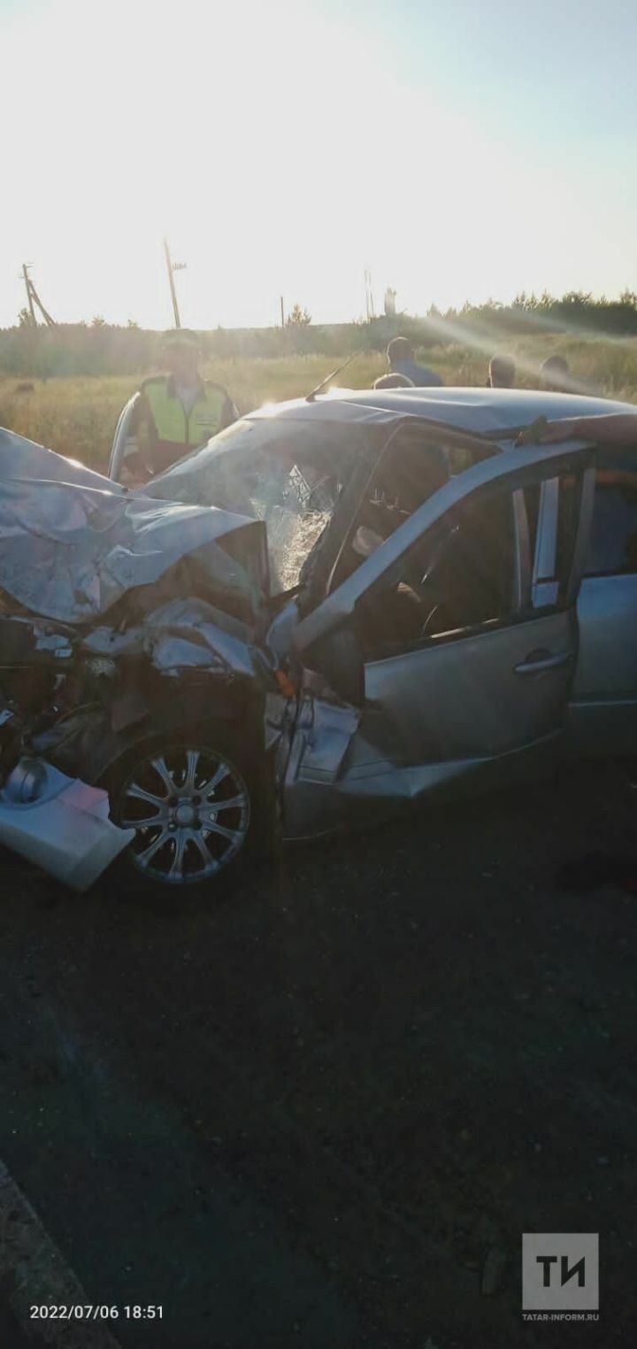 В Татарстане в столкновении двух авто пострадало пять человек