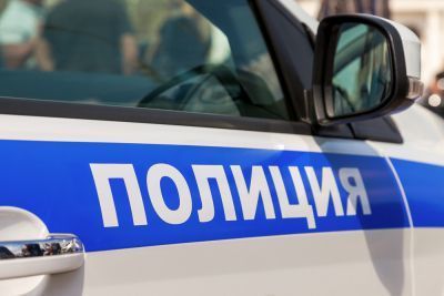 Татарстанские полицейские будут ездить на новых машинах
