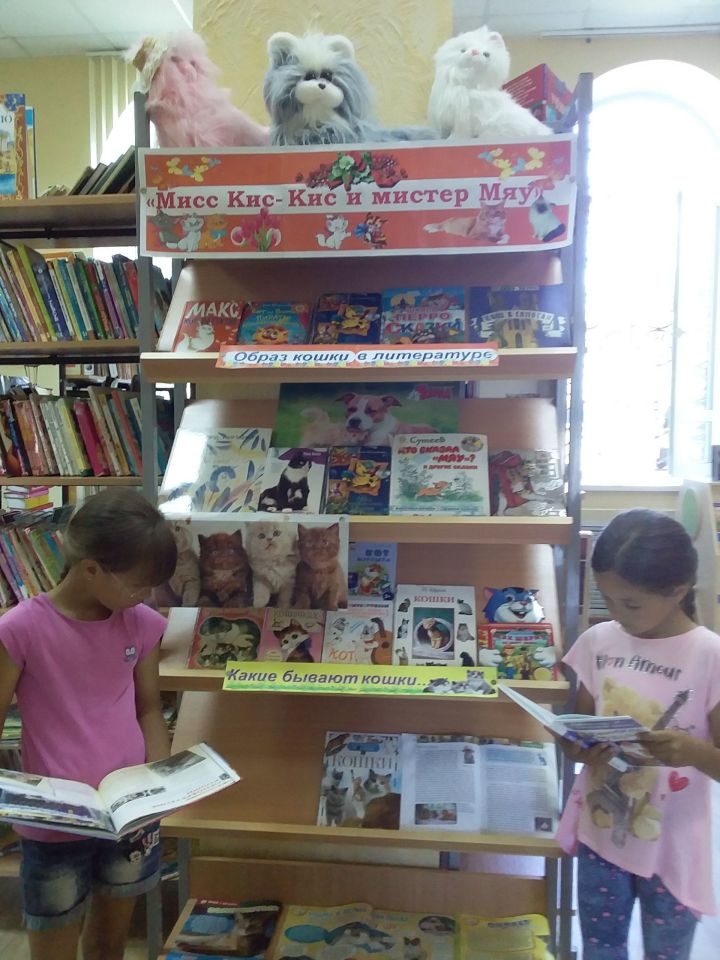 В детской библиотеке Болгара открыта новая книжная выставка «Мисс&nbsp; Кис-Кис и мистер Мяу»