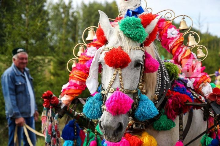 В Арском районе пройдёт традиционный конно-спортивный праздник «День коня»