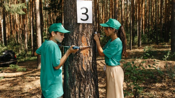 Продолжается приём заявок на Всероссийский заочный смотр-конкурс школьных лесничеств