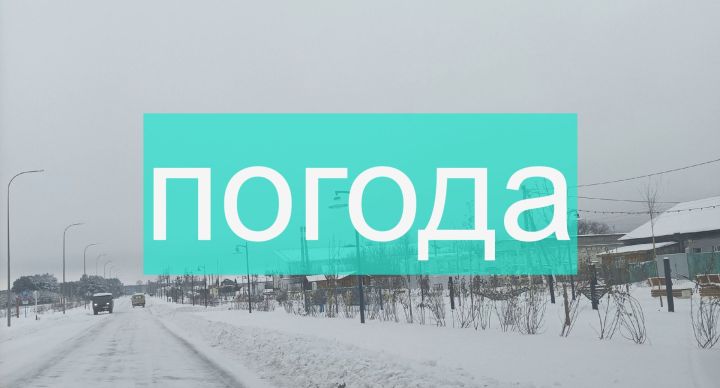Погода на выходные 25 и 26 ноября
