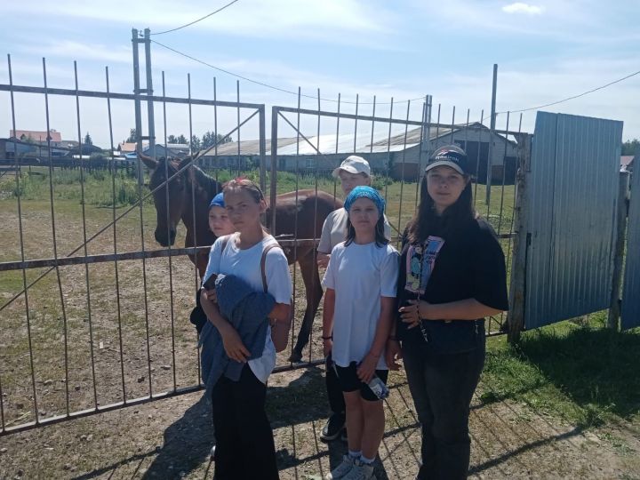 В пришкольном лагере первой школы Болгара прошёл «Братья наши меньшие»