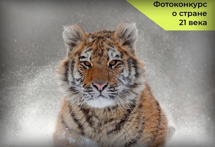 Спассцы могут принять участие в Национальном фотоконкурсе «Знание. Россия»