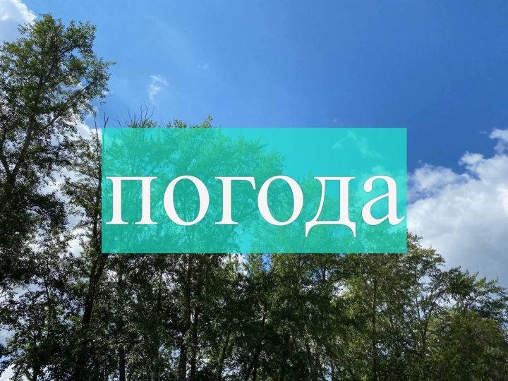 Погода на субботу 5 августа