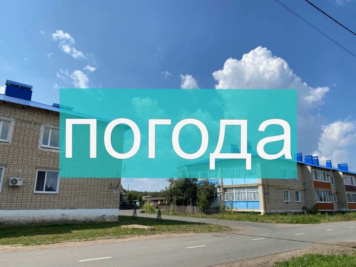 Погода на воскресенье 6 августа