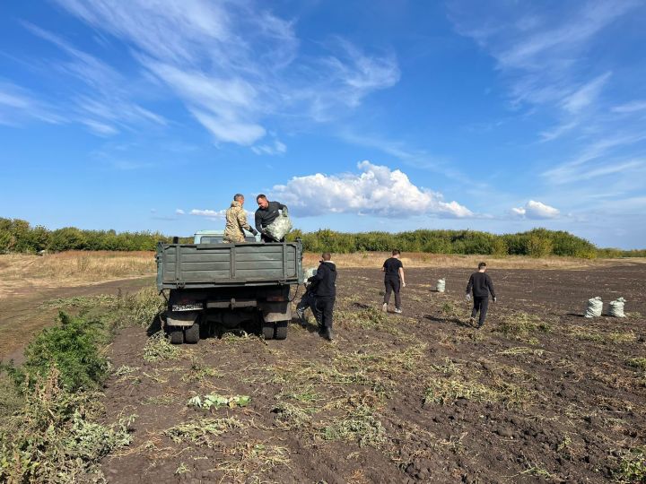 Молодые активисты Спасского района собрали урожай картофеля