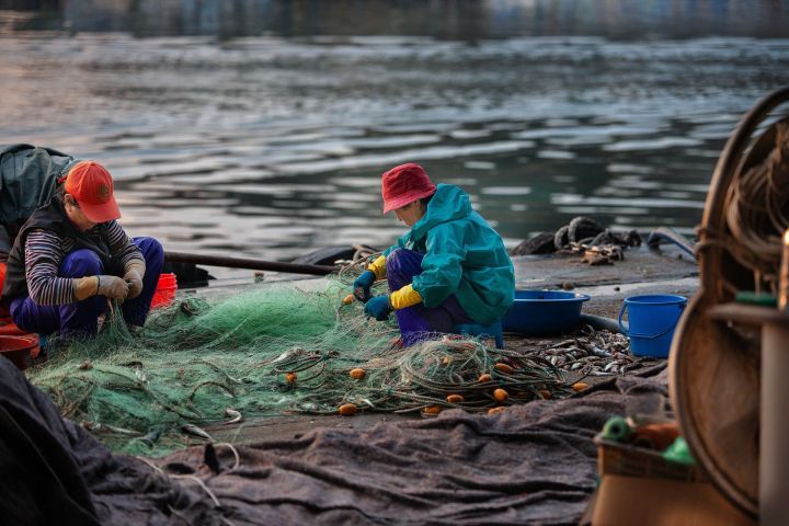 В России зафиксирован самый низкий за 20 лет улов лососевых