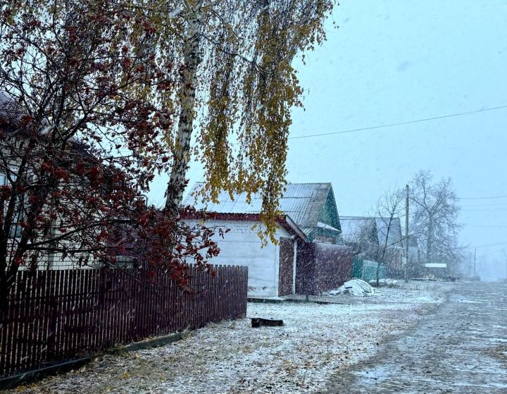 На Ираиду Спорную нельзя людей хвалить и деньги с земли поднимать