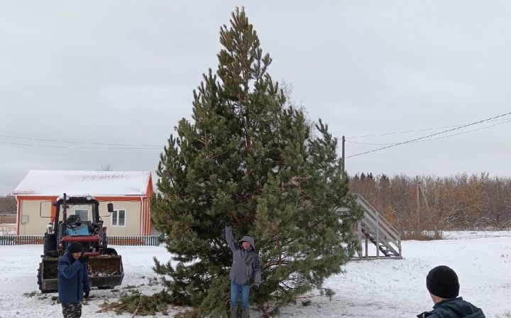 Сельские поселения Спасского района готовятся к конкурсу на лучшую сельскую ёлку