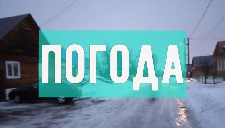Погода на выходные 3 и 4 февраля