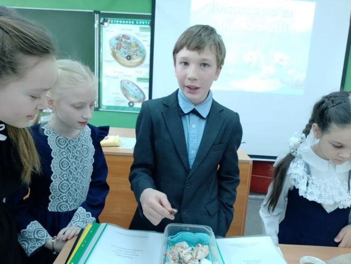 В Болгарской школе №2 состоялась районная научно-практическая конференция