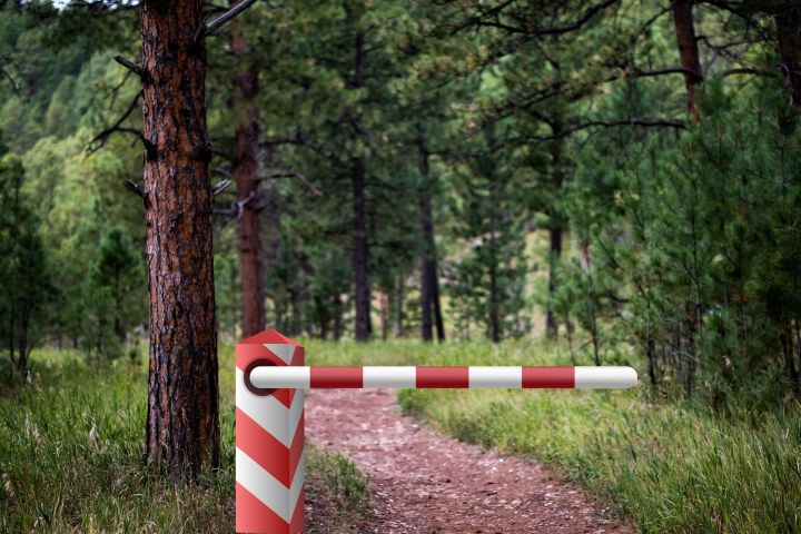В Татарстане временно запретили посещение лесов из-за высокой пожарной опасности