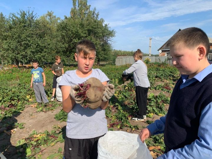 Хороший урожай вырастили ученики Болгарской школы для детей с ОВЗ