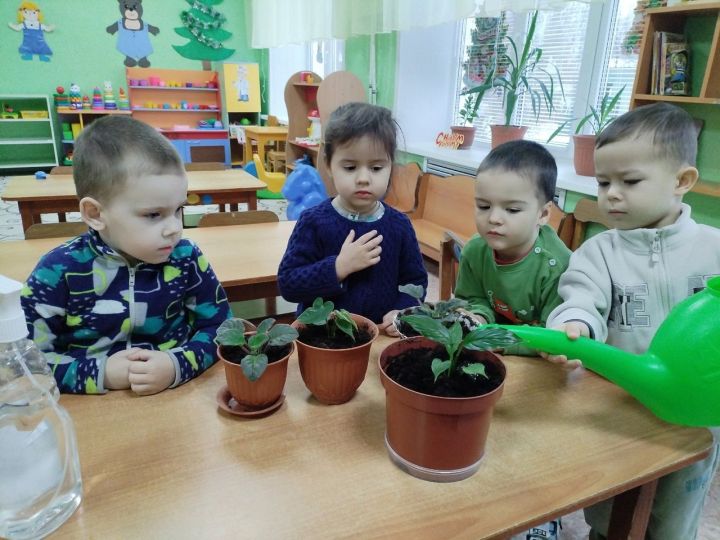 «День благодарности к комнатным растениям» прошел в детском саду в Болгаре