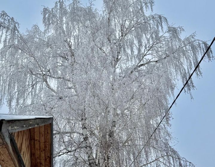 В Сильвестров день нельзя есть курицу и яйца и совершать крупных покупок