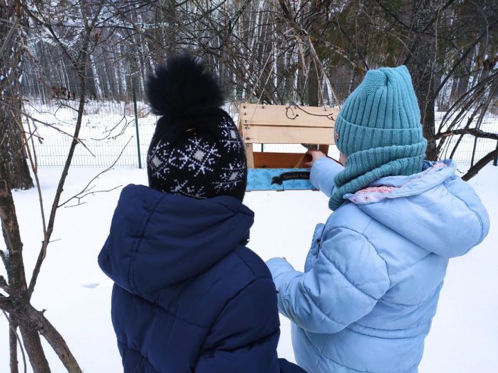 Экологическую акцию «Покормите птиц зимой» провели школьники в Болгаре