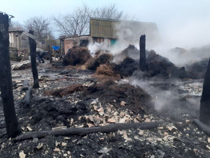 В Спасском районе Татарстана из-за пожара владелица осталась без хозпостроек и домашней птицы
