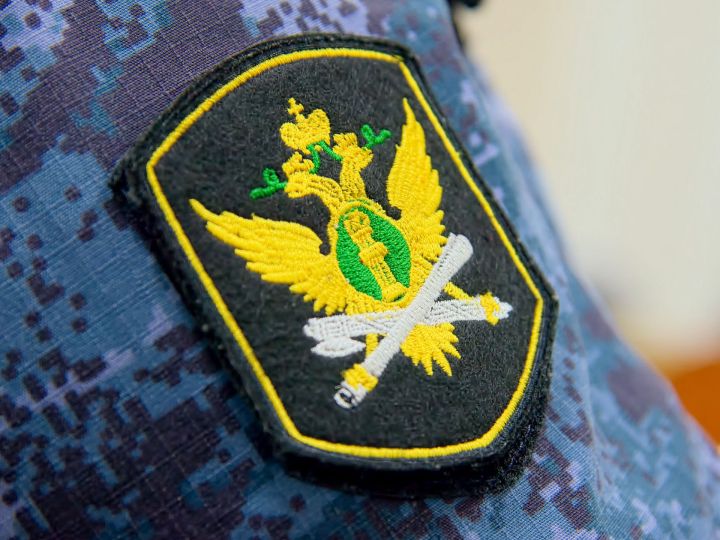 Жительницу Спасского района арестовали за долги по алиментам