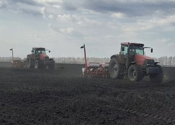Аграрии Спасского района РТ приступили к севу подсолнечника