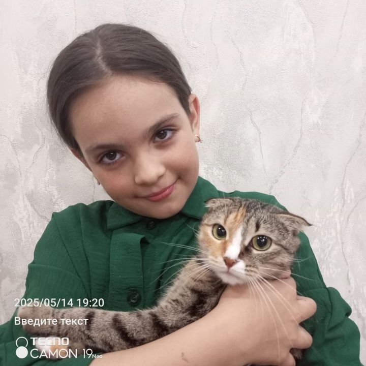 В Болгаре в средней школе №2 прошла акция «Зоозащита»