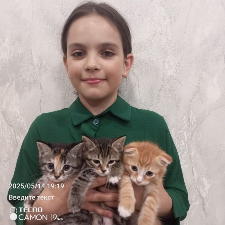 В Болгаре в средней школе №2 прошла акция «Зоозащита»